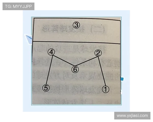 南京排球队进攻战术深度解析与实战应用探讨
