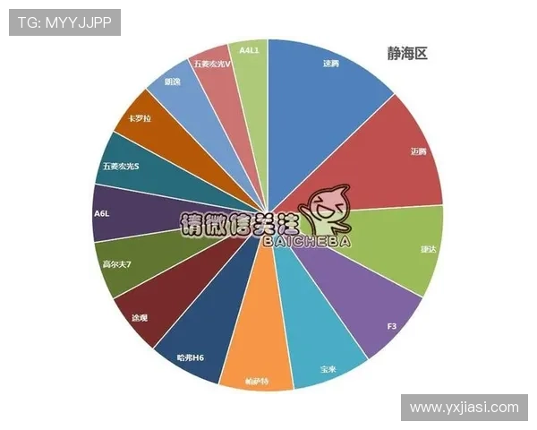 独家分析:成都网球队的耐力对比 独家分析:成都网球队的耐力对比